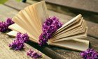 livre_lilas.jpg