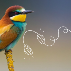 image_2.png