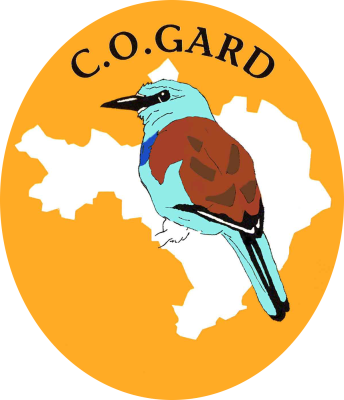 CogarD_imagebf_image_logoCOGard.png