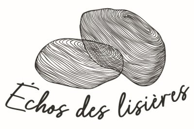 Echos_des_lisires__LOGO__V1_gris_fonc_TEST.jpg