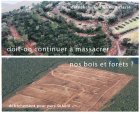 encartRSboisH.jpg
